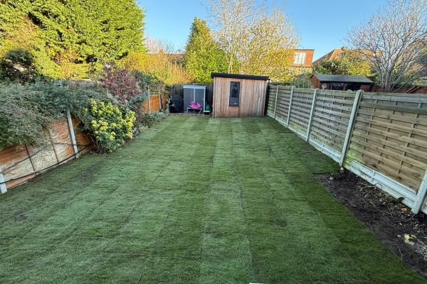 new turf laid to back garden in st albans